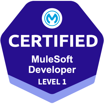 developer level 1